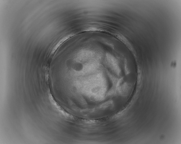 X0000113090945200909111024