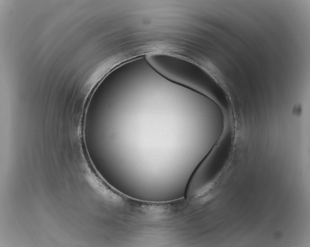 X0000113090946200909111024