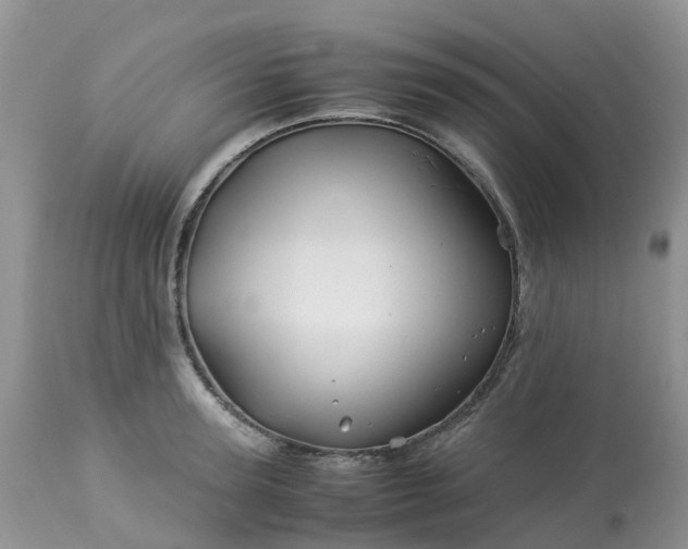X0000113090947200909111024