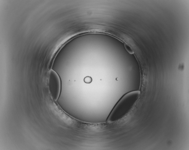 X0000113090948200909111024