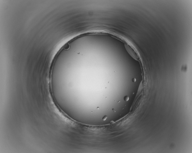 X0000113090951200909111024