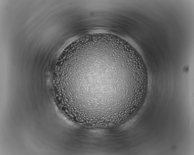 X0000113090953200909111024