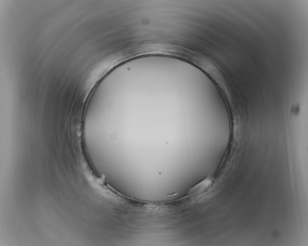 X0000113090954200909111024