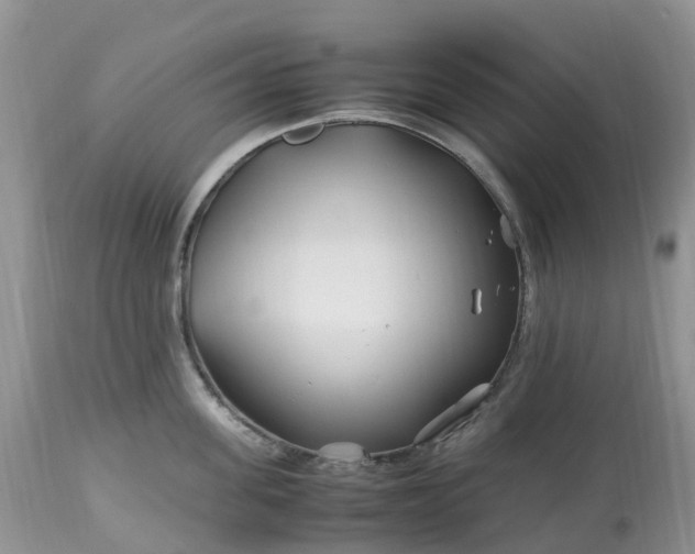 X0000113090955200909111024