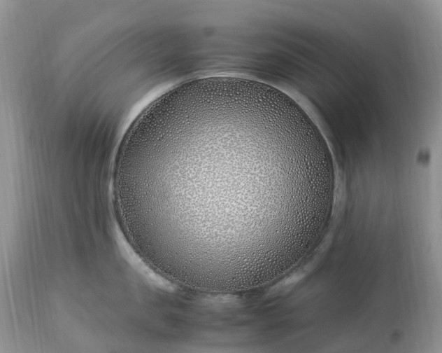 X0000113090957200909111024