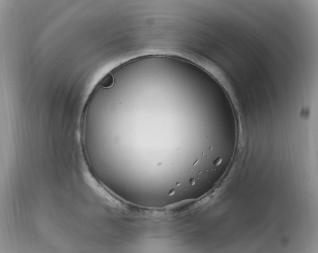 X0000113090958200909111024