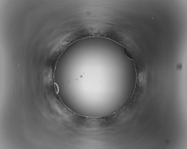 X0000113090963200909111023