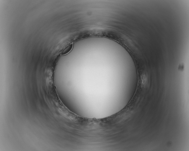 X0000113090964200909111023