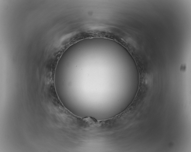 X0000113090965200909111023