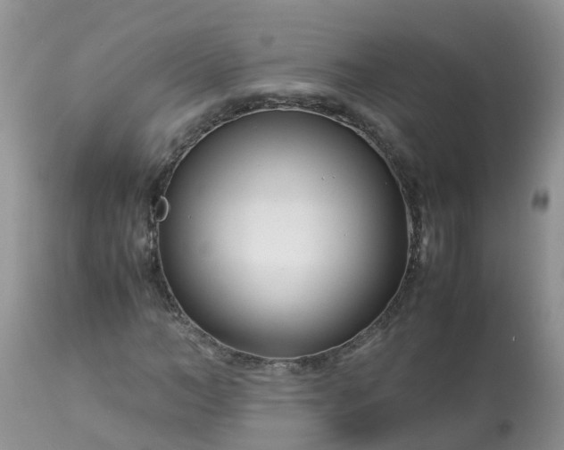X0000113090966200909111023