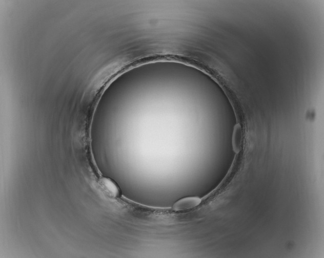 X0000113090977200909111023