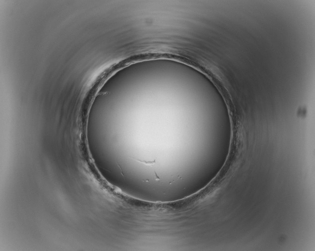X0000113090979200909111023