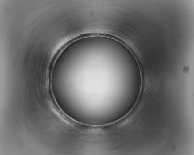 X0000113090982200909111023