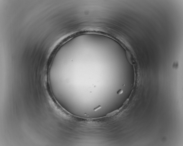 X0000113090984200909111023