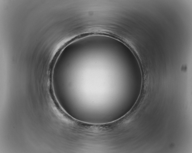 X0000113090987200909111023