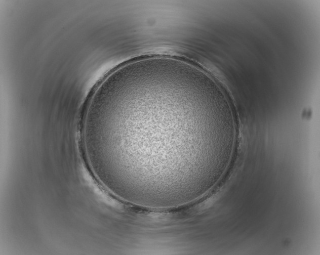 X0000113090989200909111023