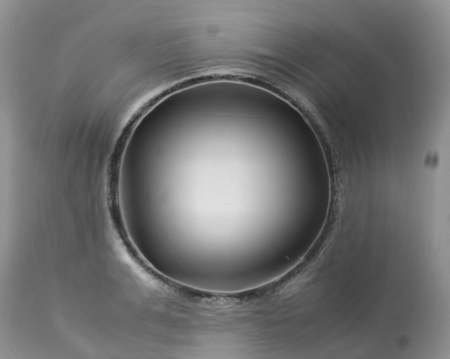 X0000113090991200909111023