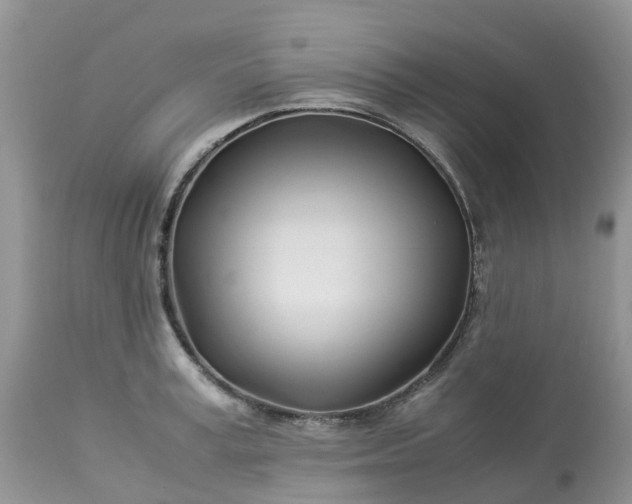 X0000113090995200909111023