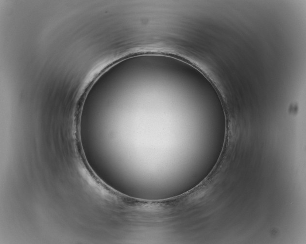 X0000113090998200909111023