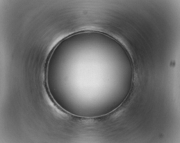 X0000113090999200909111023
