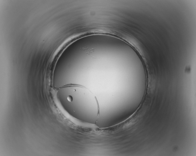 X0000113091000200909111023