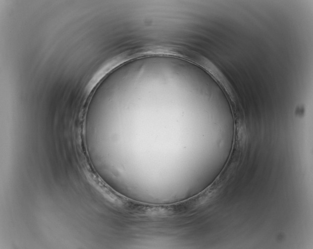 X0000113091002200909111022