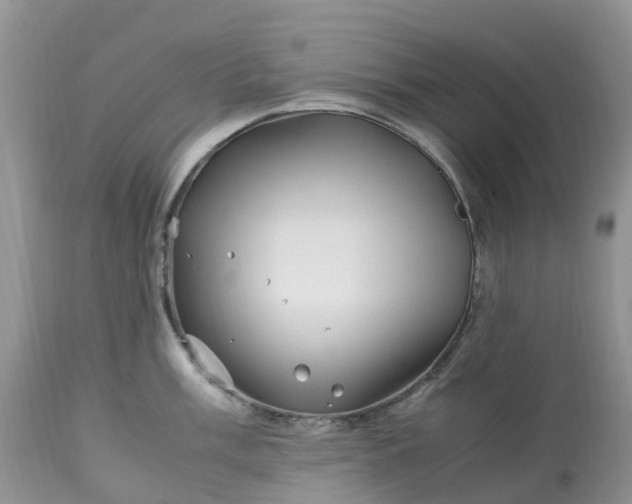 X0000113091003200909111022