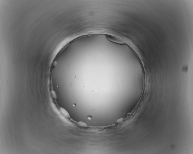 X0000113091005200909111022