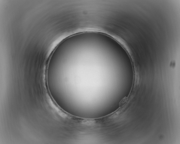 X0000113091006200909111022
