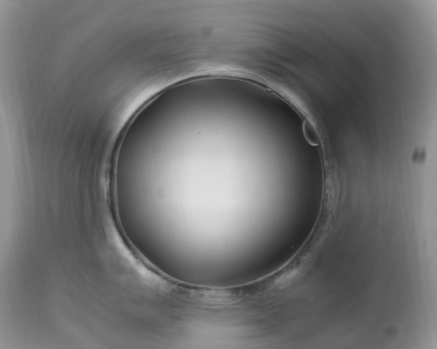 X0000113091007200909111022