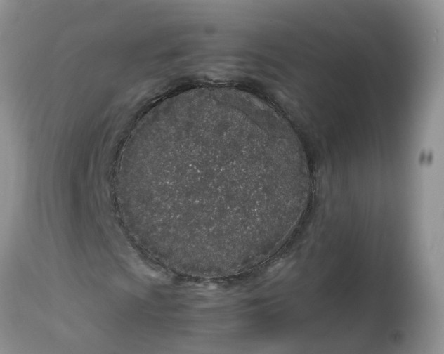 X0000113091009200909111022
