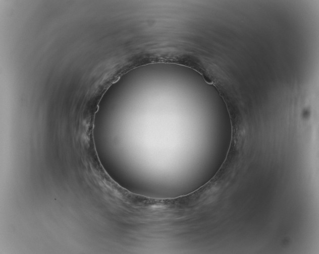 X0000113091010200909111022