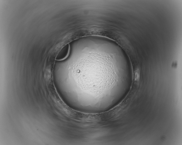 X0000113091011200909111022