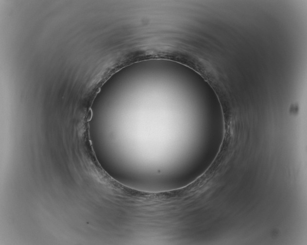 X0000113091012200909111022