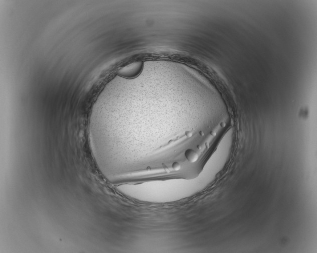 X0000113091016200909111022