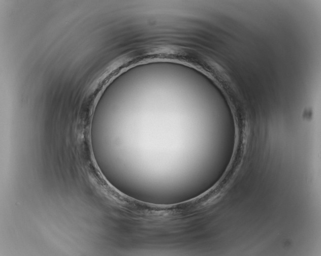 X0000113091017200909111022