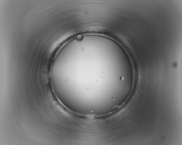X0000113091018200909111022