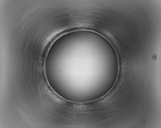 X0000113091019200909111022