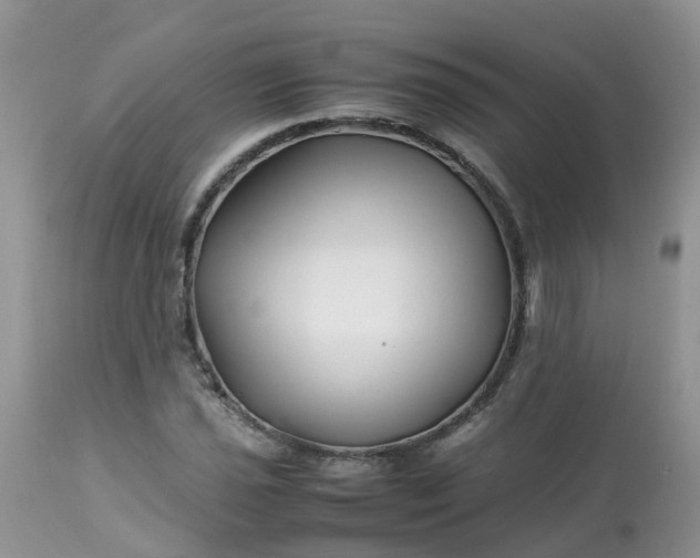 X0000113091021200909111022