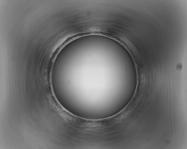 X0000113091023200909111022