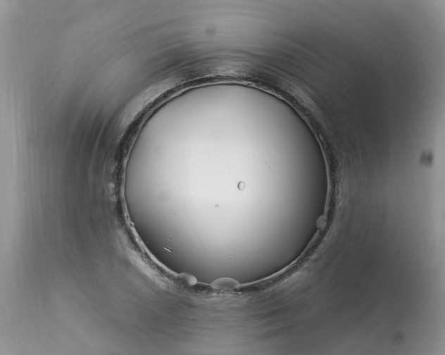 X0000113091026200909111022