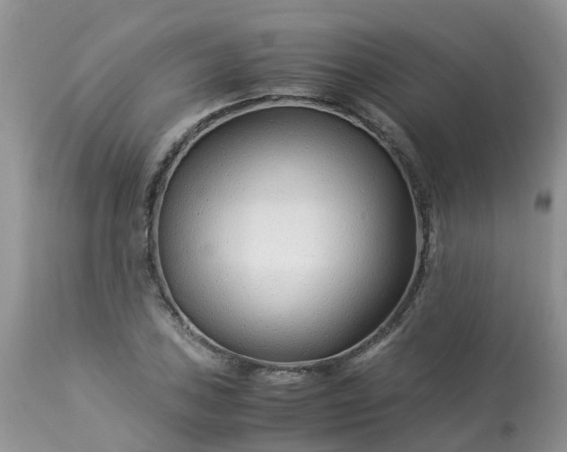 X0000113091027200909111022