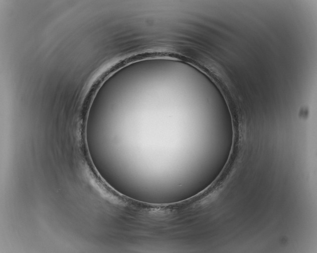 X0000113091029200909111022