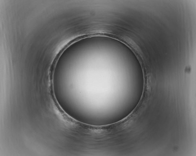 X0000113091031200909111022