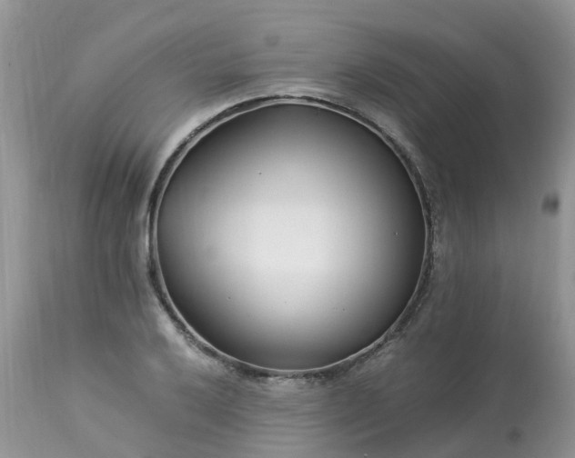 X0000113091032200909111022