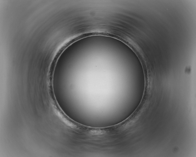 X0000113091037200909111022