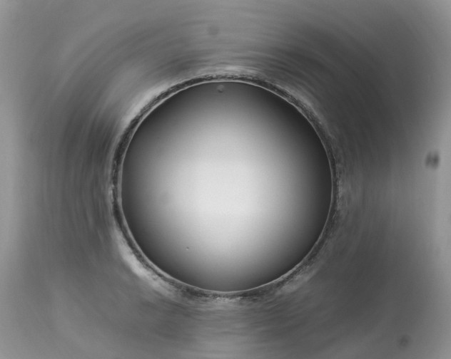 X0000113091038200909111022