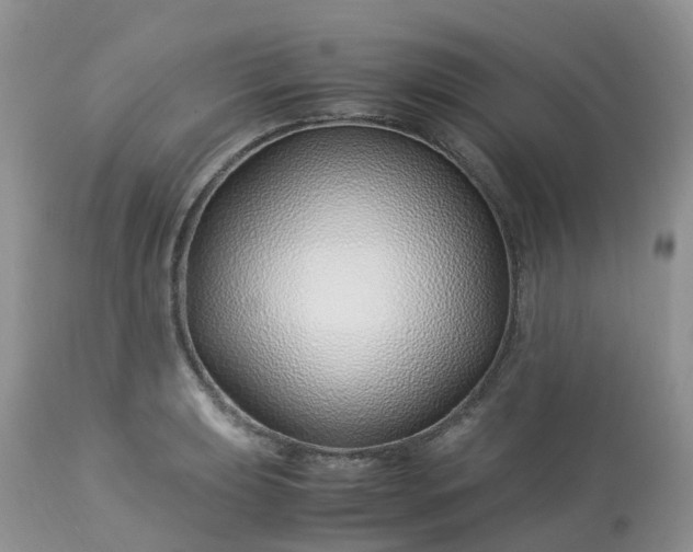 X0000113091039200909111022