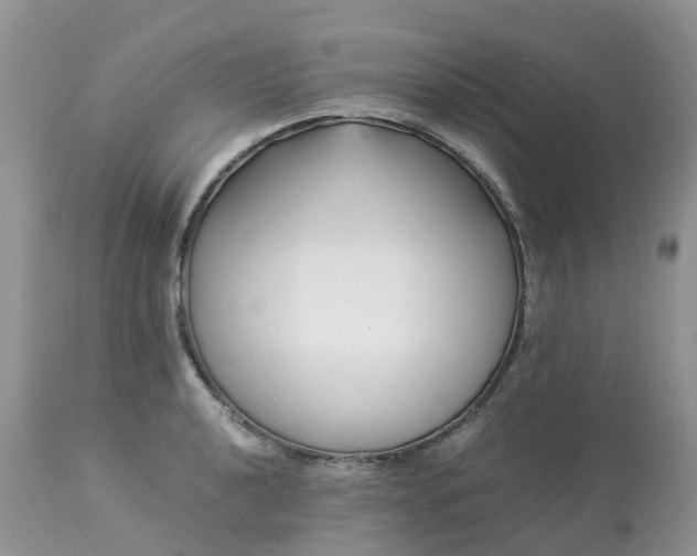 X0000113091040200909111022