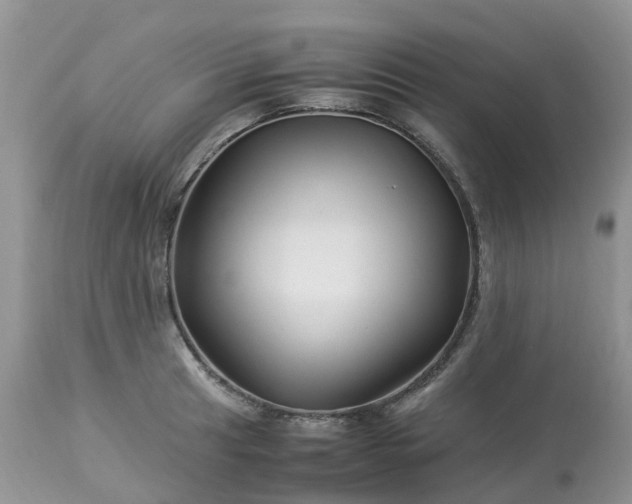 X0000113091041200909111022